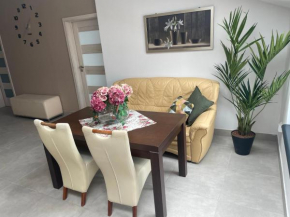 Apartament II w Centrum - Winda - 50 metrów od Starego Rynku Kościerzyna